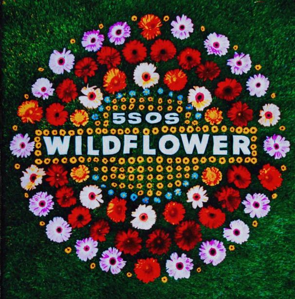 Wildflower