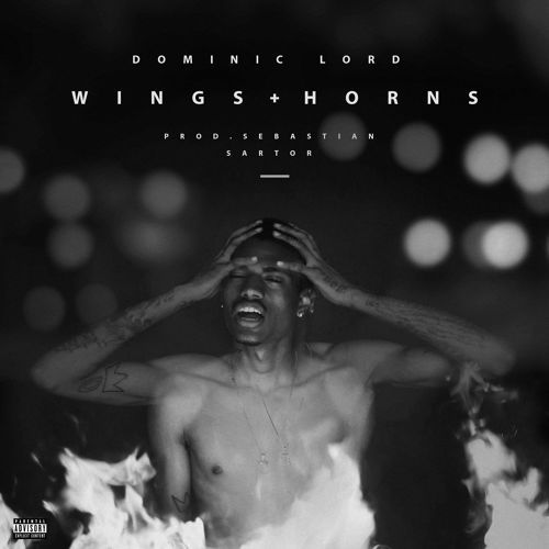 WINGS+HORNS