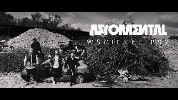 Wściekłe Psy
